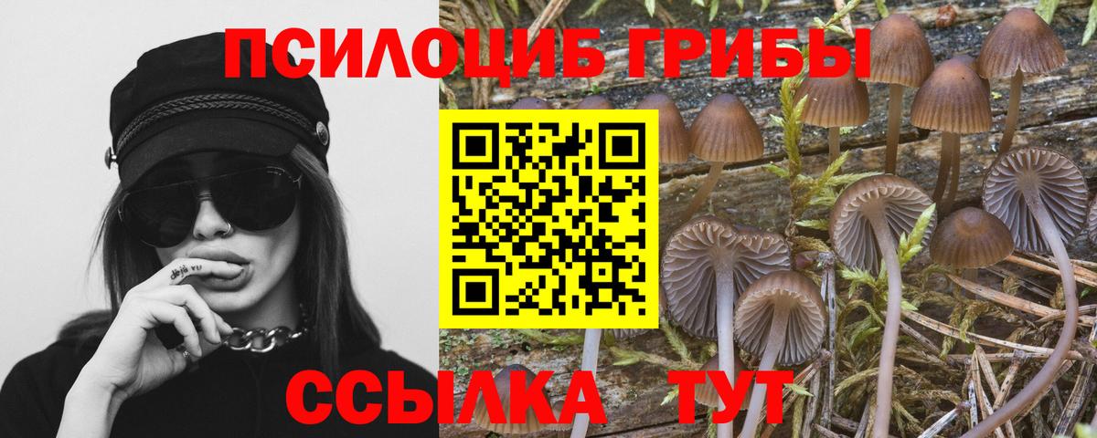 Галлюциногенные грибы Magic Shrooms Ростов Великий