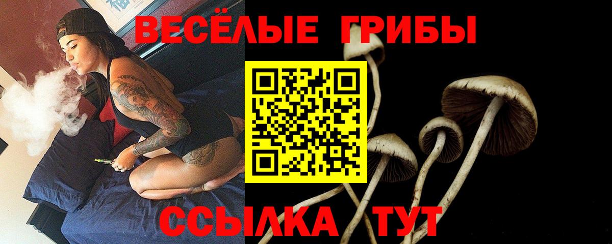 Галлюциногенные грибы Psilocybe  Вход с VPN  Ростов Великий 